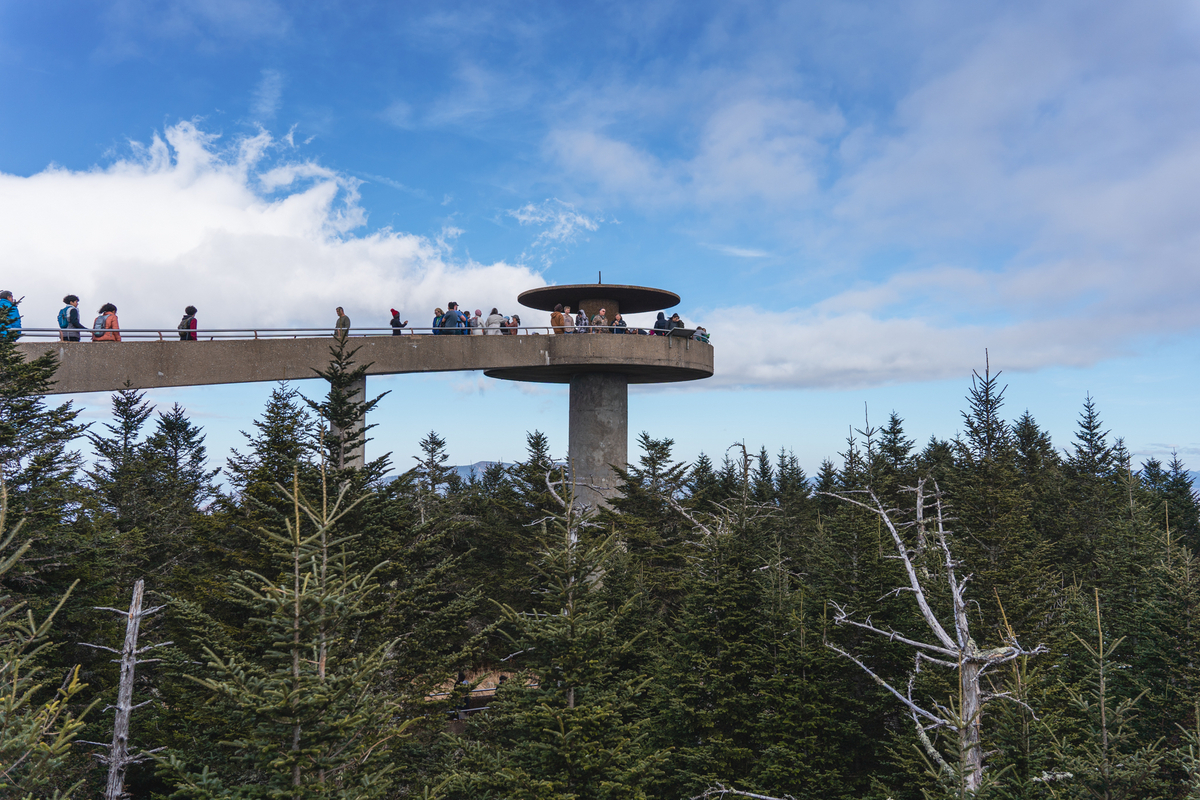 2025年 グレート・スモーキー山脈国立公園で絶対外さないおすすめ観光スポットトップ10 -