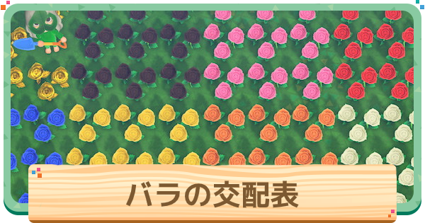 あつ森 花の種類や交配方法一覧まとめ！青いバラの交配方法も あつまれどうぶつの森- あつ森で生きていく