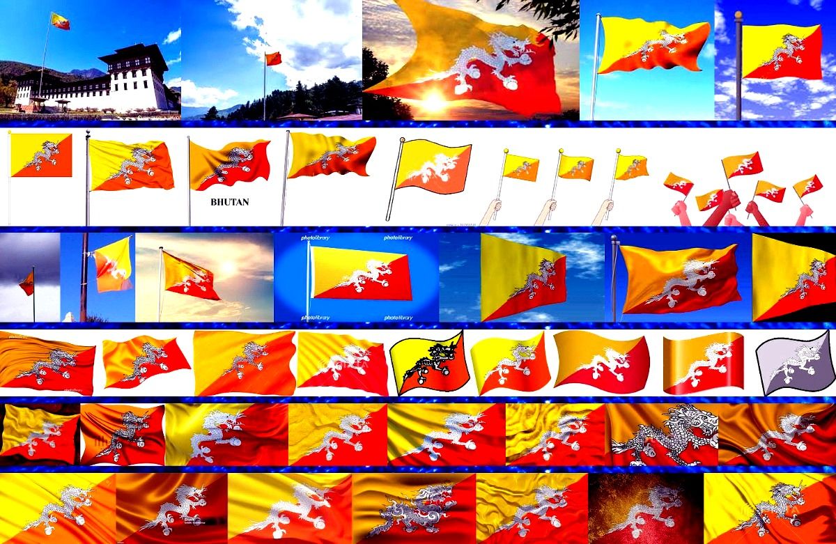 夕食はレンチン、出産翌日に自分でパンを焼く?!」イギリスと日本、出産・育児事情はこんなに違う！ 英国在住・著述家に聞く たまひよ