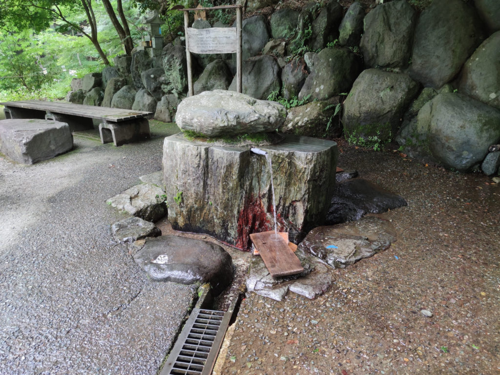 くずはの広場：街中に突然現れるオアシス空間♪川遊び、野鳥や虫、草花の自然観察を手軽に楽しめ、初夏にはホタルも！小さい子も安心の超穴場スポットです 秦野市湘南エリア横浜・湘南で子供と遊ぶ -