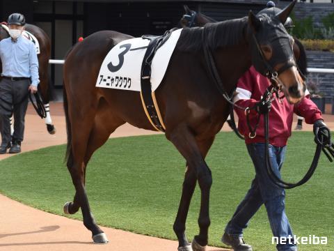 SPY×FAMILY」この冬はアーニャたちとみんなで“おでけけ！ ”初の大規模イベント「わくわくパーク」開催決定アニメ！アニメ