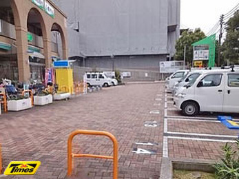 大阪千島公園 盛夏❣アガパンサスと小さな花々🍀GreenSnap グリーンスナップ