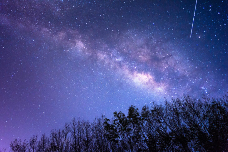 埼玉の観光スポット12選ドライブで巡るSNS映え・穴場・グルメスポット！デートにも - Relux Journal