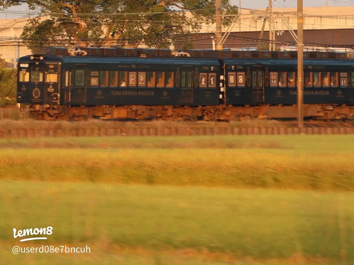 猫のたま駅長で有名！「和歌山電鐵貴志川線」ガイド