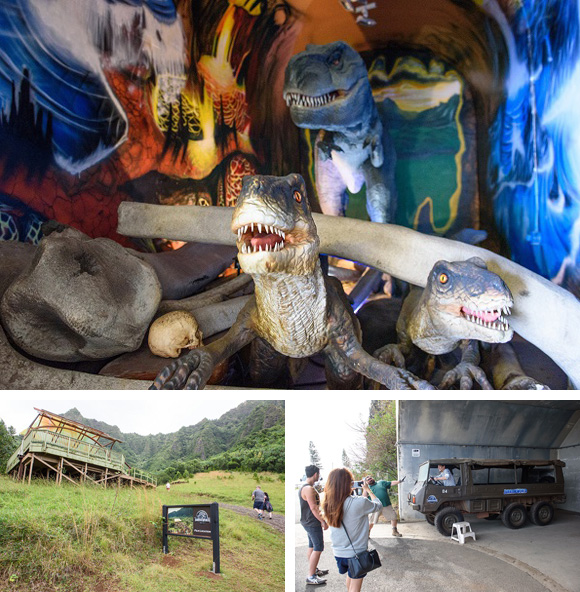 ハワイ・クアロア・ランチで体験！乗馬とロケ地巡りの魅力を紹介