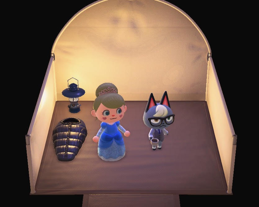 あつ森 キャンプサイト勧誘の流れと特定住民の入れ替えの注意点～みかっちが来た～ - マイミーボックス myme