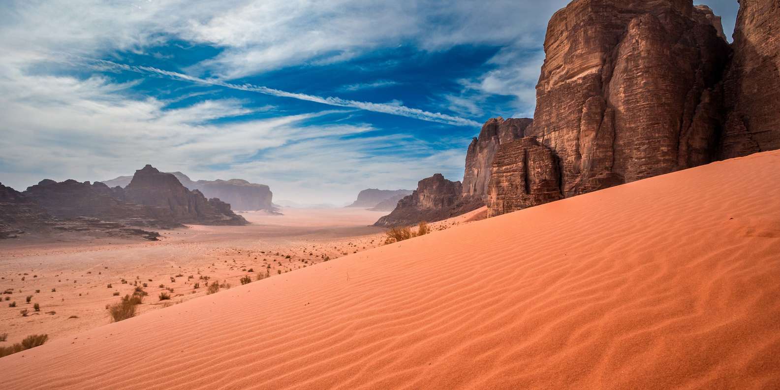 2025年 ワディラム行きの人気の日帰りツアー –