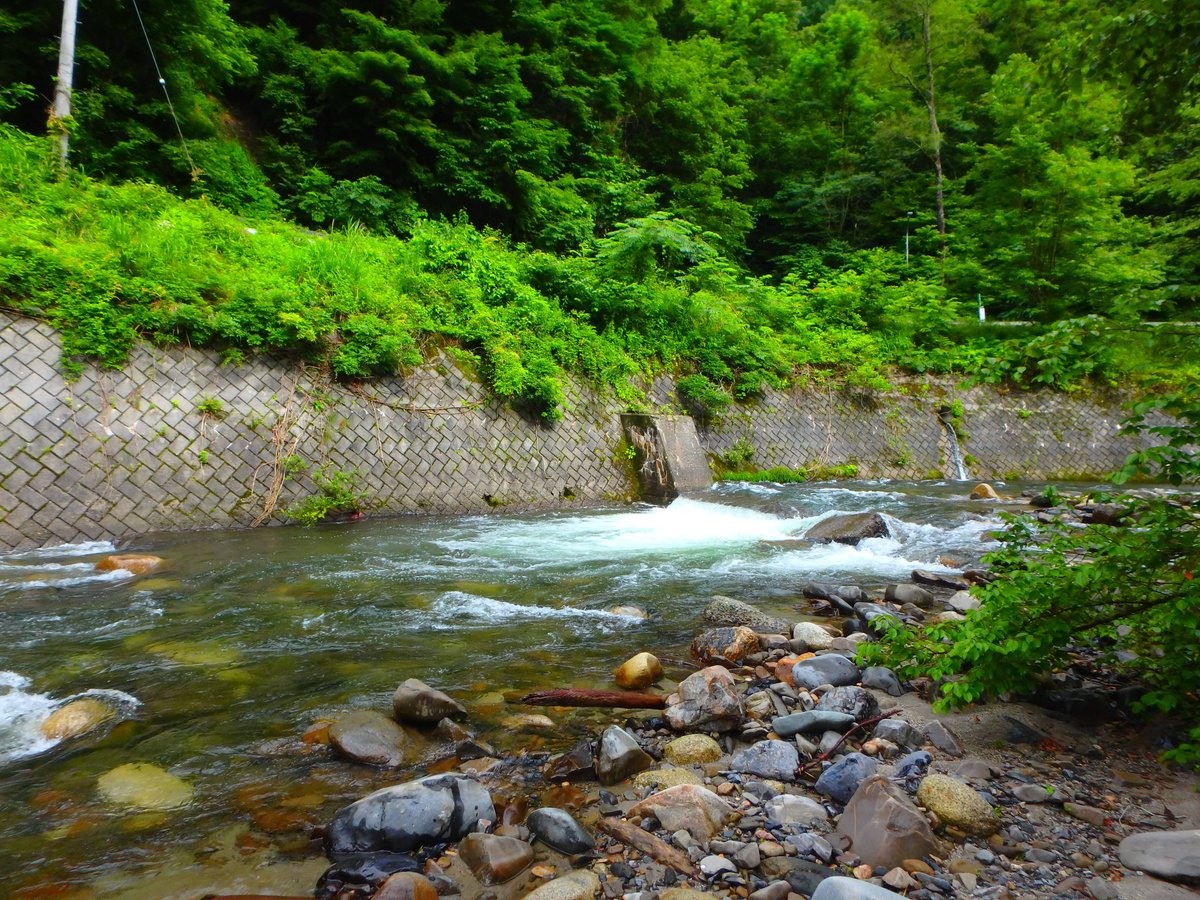 長野県・犀川&梓川 釣行記ようこそ、渓流釣りの世界へ！シマノ -SHIMANO