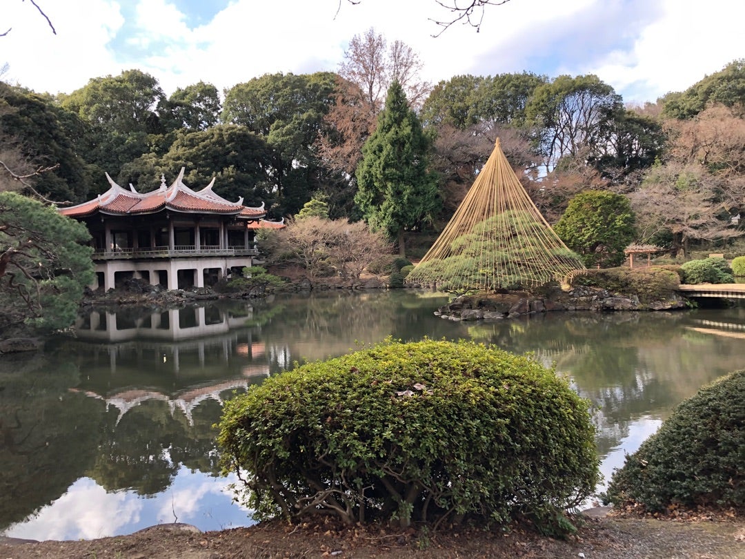 旅コラム 都会の涼 新宿御苑さんぽ週末大人旅