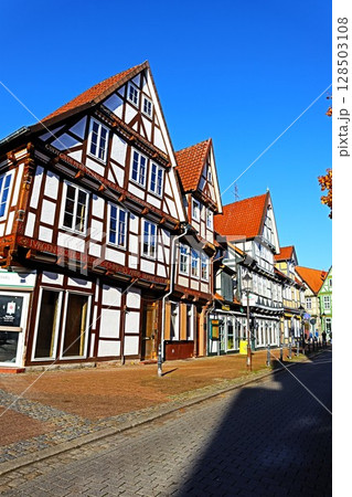 レンガの家海外のデザインを暮らしに−メープルホームズの輸入住宅