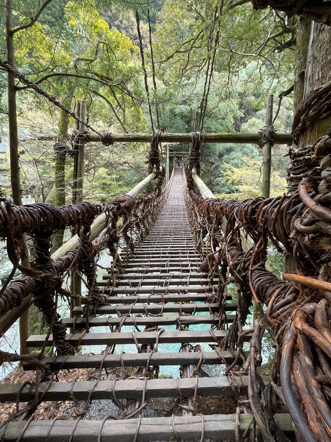 祖谷のかずら橋: 1000年前の秘境の絶景