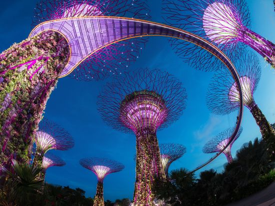 シンガポールのガーデンズバイザベイチケット2枚 - メルカリ