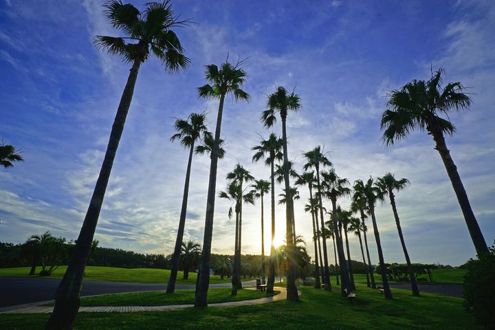 辻堂 神台公園に行ってきた！テラスモール湘南に隣接した憩いのスポット