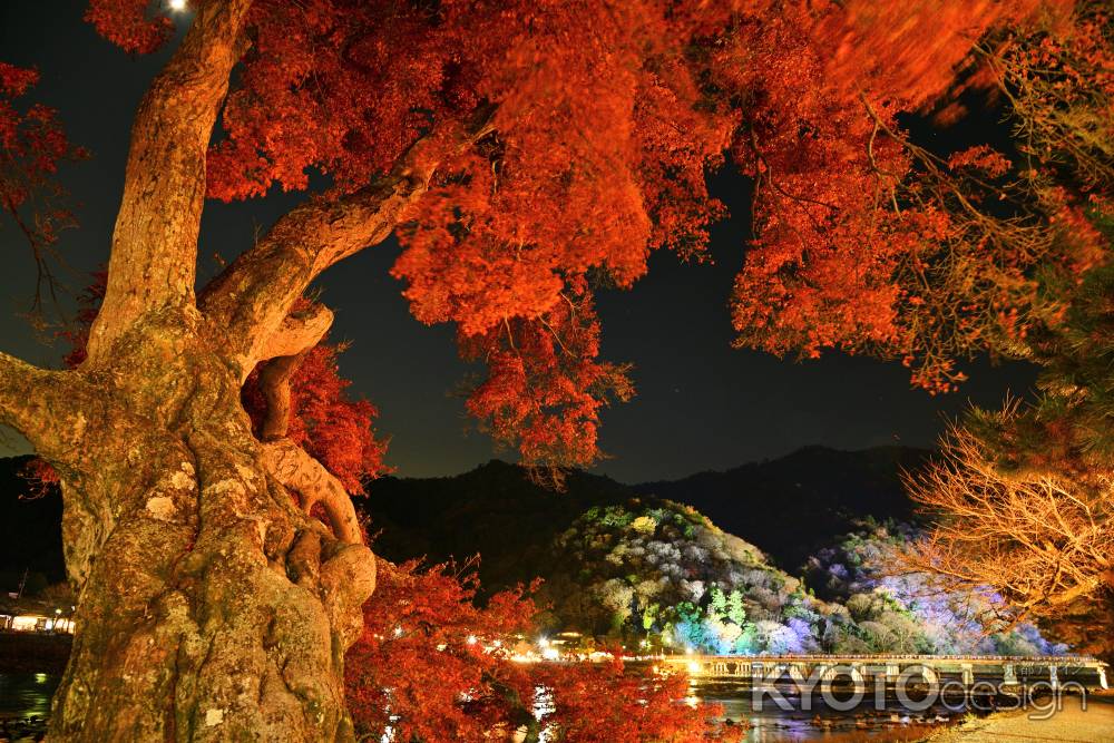 夜の渡月橋地球の歩き方