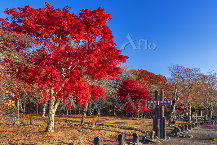 軽井沢 観光名所旧碓氷峠 見晴台