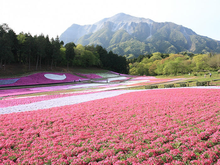 東京から日帰りで行ける！一人旅の行先9選たびこふれ