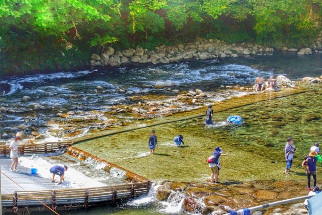 2025年 岐阜の鮎を食す！今年もヤナに行こう！～ペットOKもあるよ～特集岐阜県観光公式サイト 「岐阜の旅ガイド」
