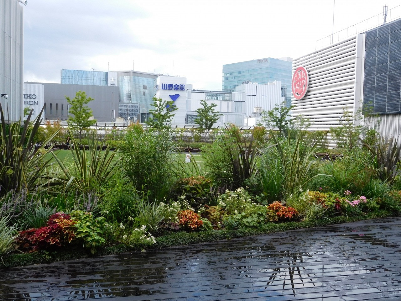 喧騒を逃れて、緑豊かなオアシスへ。東京都内にある「屋上庭園」6選キナリノ