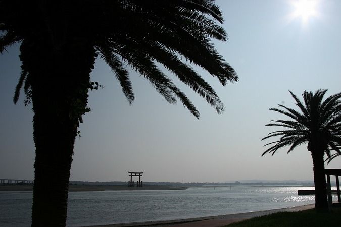 浜名湖の弁天島海浜公園から見た大鳥居⛩ 空も青く、鳥居の赤との対比がとてもきれいでした✨ ここで少しビーチコーミング🏖 小さい、可愛い貝🐚小さいお子さまでものんびり楽しめるところで、ファミリーにおすすめです✌️はまなこビーチコーミング貝殻べんてん