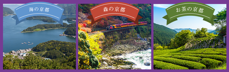 2025夏限定 プライベートプール×海で天橋立を遊び尽くす「ウミアソビ2025天橋立キャンペーン」徹底紹介！Private Pool