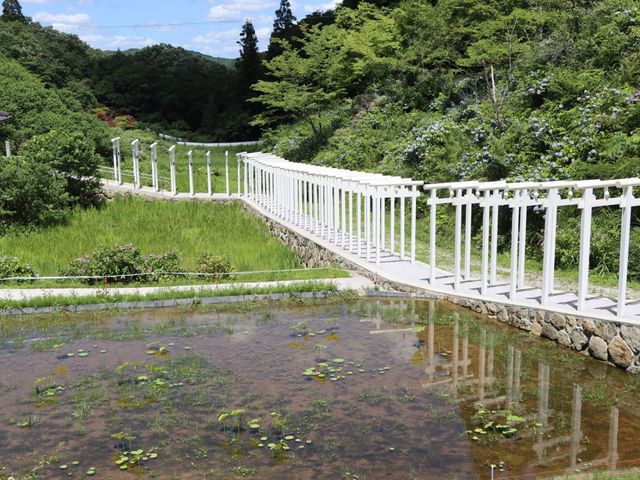真っ白な鳥居が立ち並ぶ爽やかな寺院『済渡寺』 新見市シマグニノシマタビ