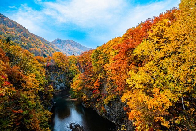 秋の女子旅に！国内のおすすめ観光スポット18選