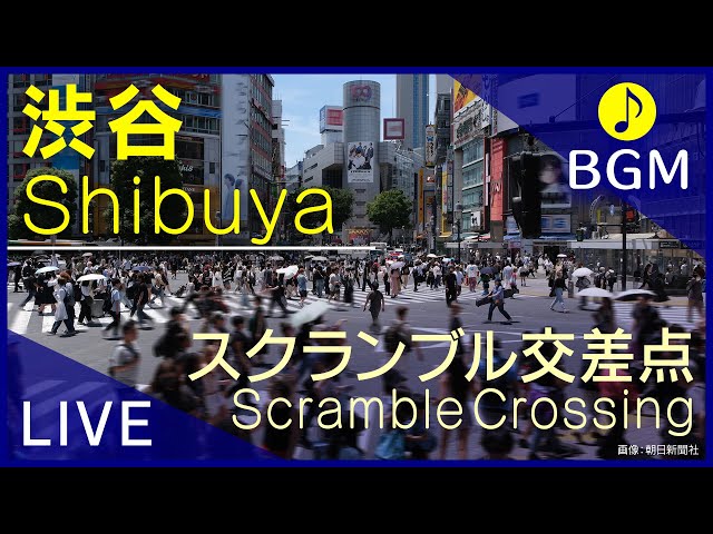 2025年 渋谷スクランブル交差点 - 出発前に知っておくべきことすべて -