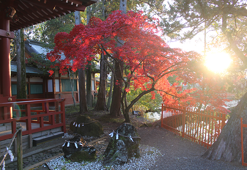 長野・上田市のおすすめ観光スポット5選！歴史と自然を満喫する旅公式 相鉄ホテルズ