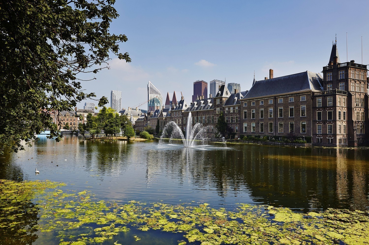 2025 デン・ハーグの1日モデルコース2パターン！観光スポットの見どころも徹底解説TARIP