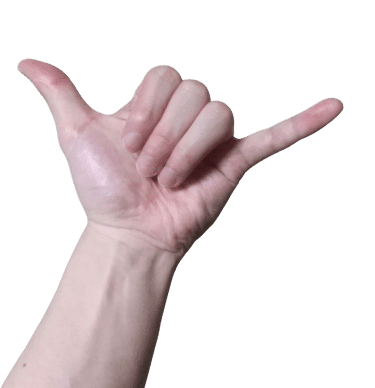 サイン ソイヤ EBiDAN カイ