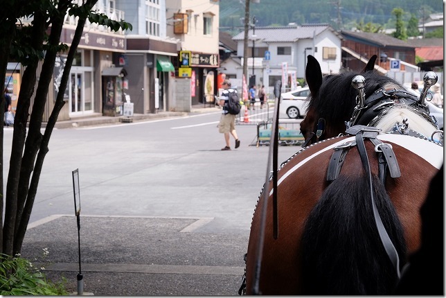 ゆふいん巡り。辻馬車に揺られ、心ほぐれる旅時間 – YUFUINFO湯布院・庄内・挾間公式旅ガイド