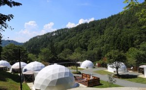 山梨県のグランピング「THE FOREST」での上質な体験TikTok