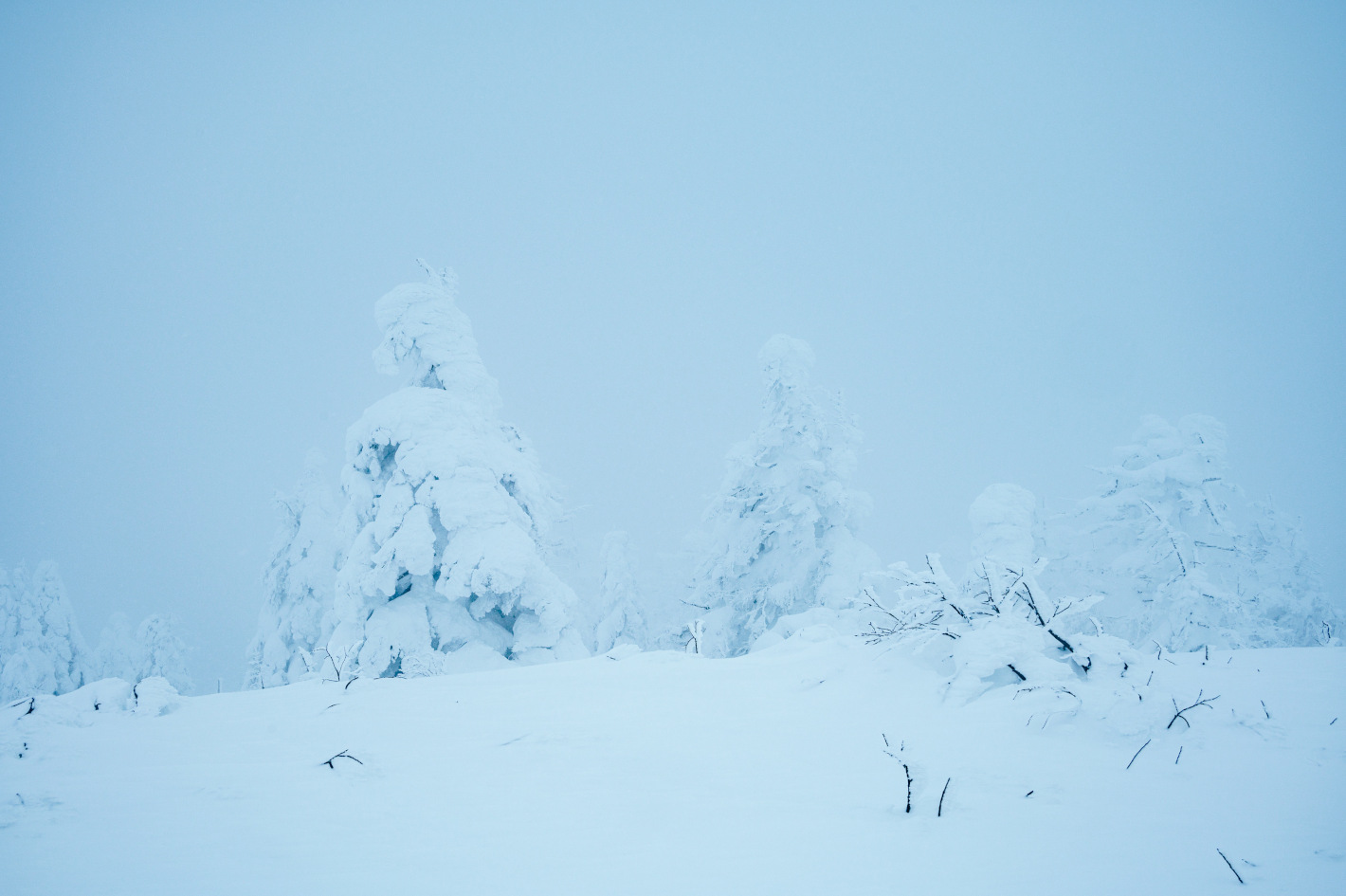 宮城県のオススメ撮影スポット９選 – 地元フォトグラファーが何度も通う、感動の風景 -
