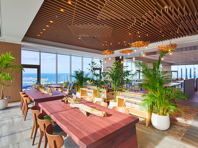 カフェがじゅまるの木 がじゅまるの木が出迎えてくれる、住宅街にたたずむ素朴なカフェで癒されてきた♪ -