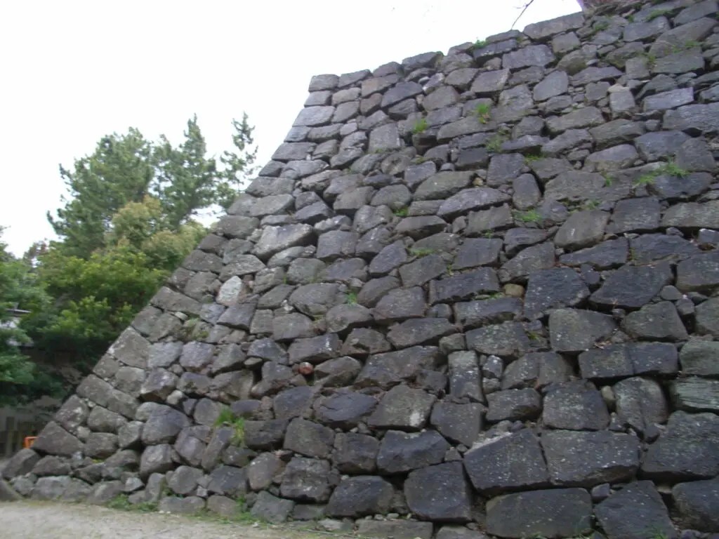 津市のお城公園、ほぼ満開です。 天守閣の所が、イマイチですが。 ^^