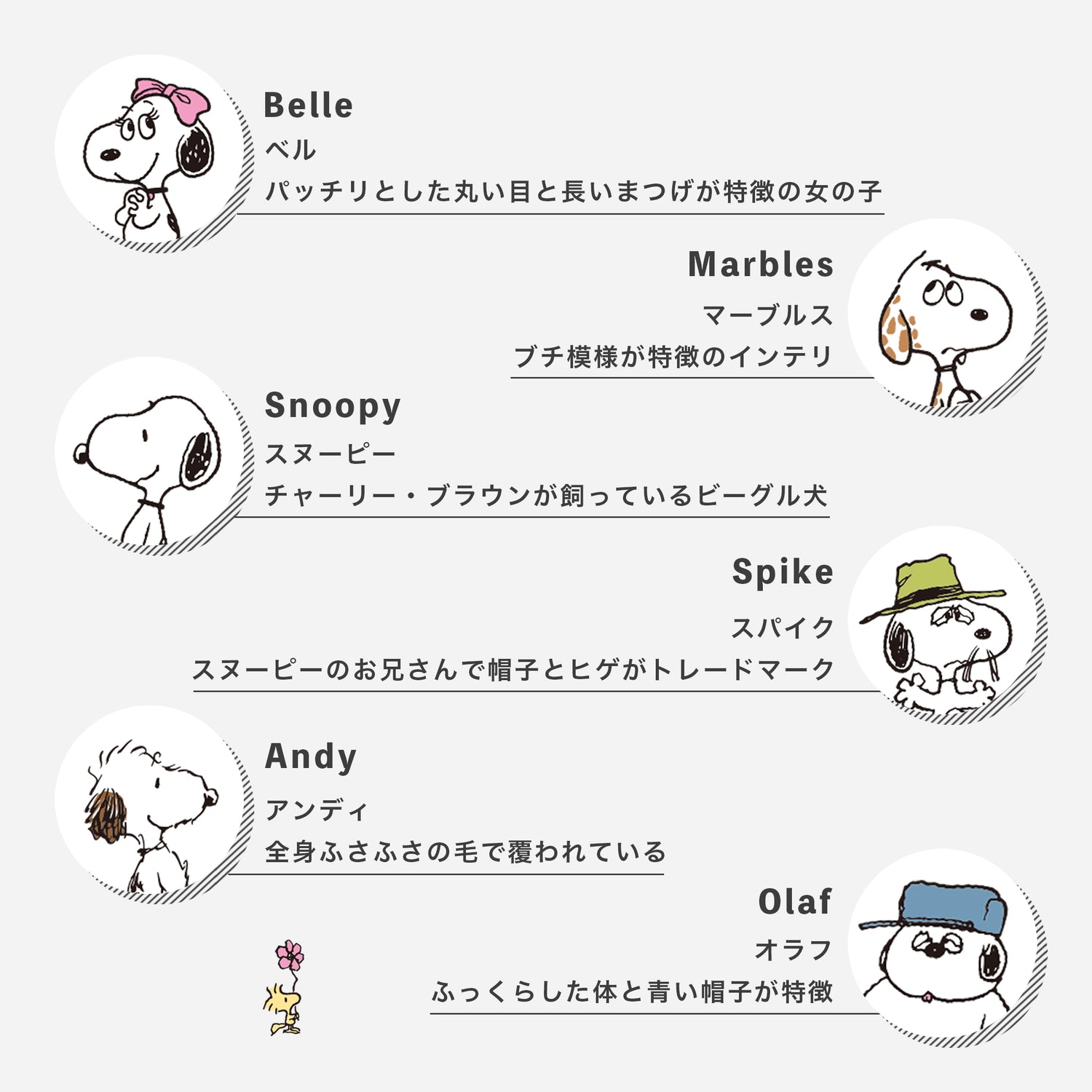 スヌーピーの大親友・ウッドストックのヒミツに迫る完全保存版ムック！撥水加工のトート＆ポーチセット付録も注目♪株式会社学研ホールディングスのプレスリリース