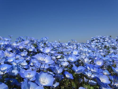 2025年 大阪まいしまシーサイドパーク - 出発前に知っておくべきことすべて