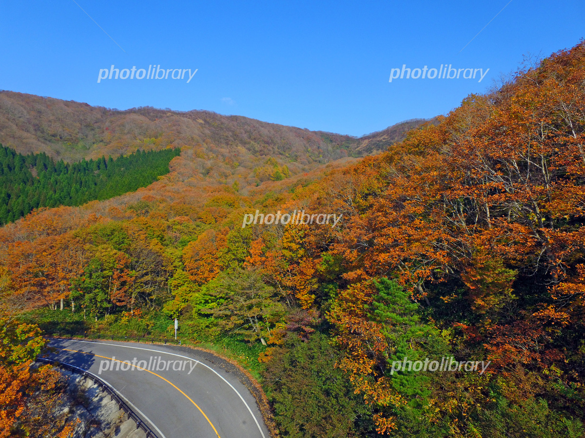 蒜山大山スカイラインジャパン峠プロジェクトJAPAN TOHGE PROJECT