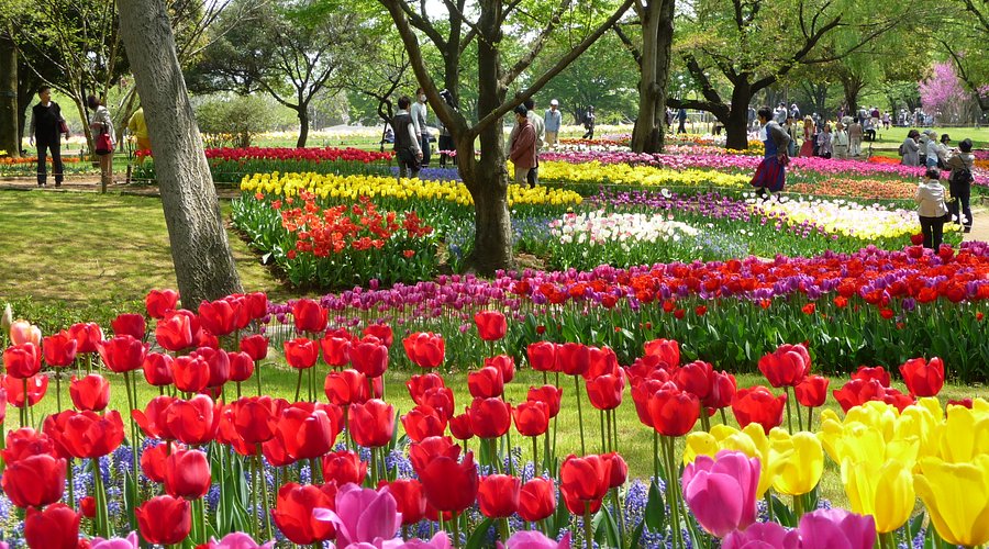 昭和記念公園 トイレダイジェスト - 御手洗い倶楽部