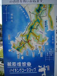 千葉 絶景の紺碧色の海を見に行こう♪楽しい美味しい南房総VOl.5aumo アウモ