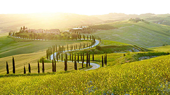 旅のデザインルーム