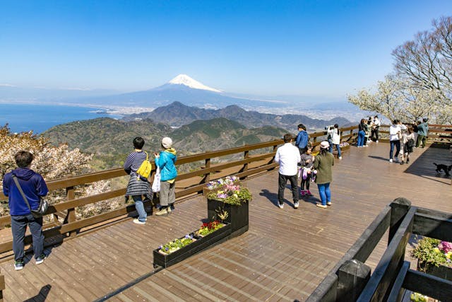 伊豆パノラマパーク』割引ロープウェイで行く碧いテラスと紅葉散策今日はどこ行く？何食べる