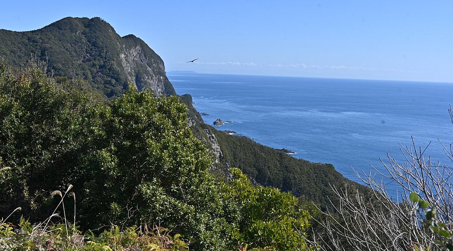 ロードバイク初心者が南阿波サンラインの展望台を目指すmade by moka