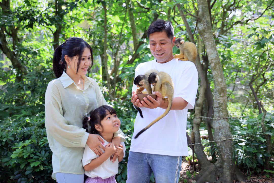 2025年最新版 石垣島フォト 写真撮影 ツアーを比較・予約石垣島ツアーズ