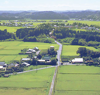 楽天市場ふるさと納税2025年発送先行予約 いすみ市産豊水梨 約5kg