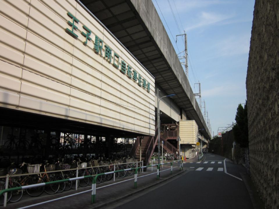 音無親水公園 夜桜のライトアップ 2025のイベント情報