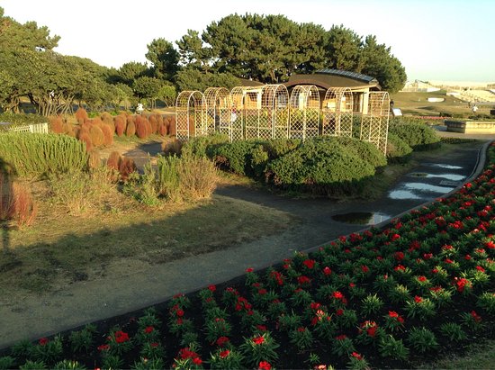 次にくる住みたい街はここだっ！ ～辻堂～街を知るSUUMO スーモ