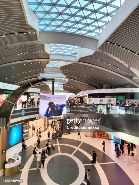 240点を超えるレオナルドダヴィンチ国際空港のストックフォト、写真、そしてロイヤリティフリーの画像 - iStock
