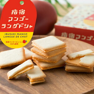 指宿駅の売店 「ふるさとショップ」さんです🌺 店内には指宿ならではの商品がたくさん並んでいてとっても賑やか！ 中でも大人気なのは「指宿 温泉サイダー」や「指宿マンゴーサイダー」だそうです♨️🥭