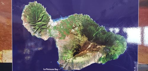 楽天市場 スナップ ハワイフック 50個セット